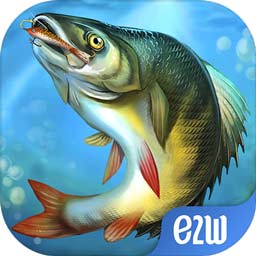 贝博app体育网页版